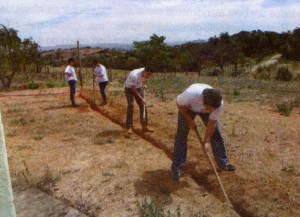 DIAC Cooperabaete (2)